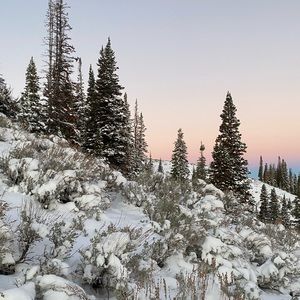 Meet your Posher, Bella